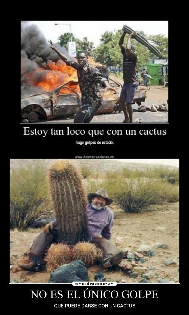 carteles cactus desmotivaciones