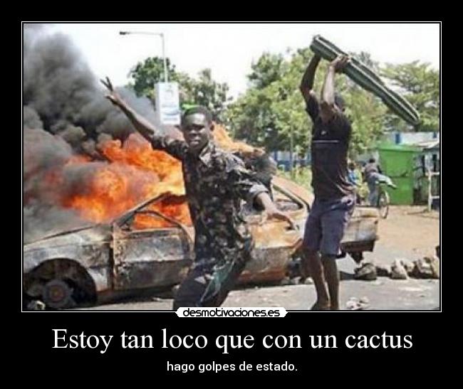 Estoy tan loco que con un cactus - hago golpes de estado.