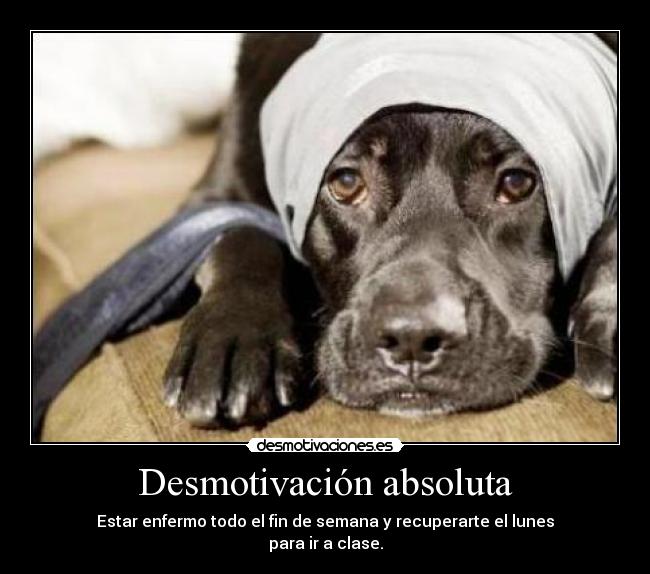 Desmotivación absoluta - 