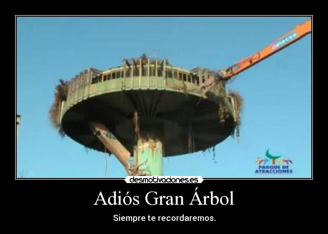 Adiós Gran Árbol - Siempre te recordaremos.