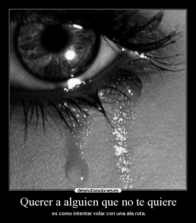 Querer a alguien que no te quiere - es como intentar volar con una ala rota.