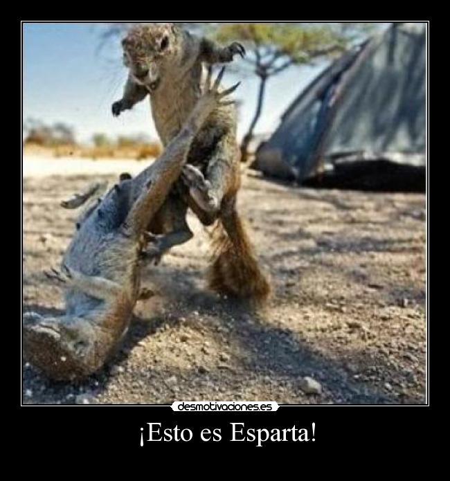 ¡Esto es Esparta! -
