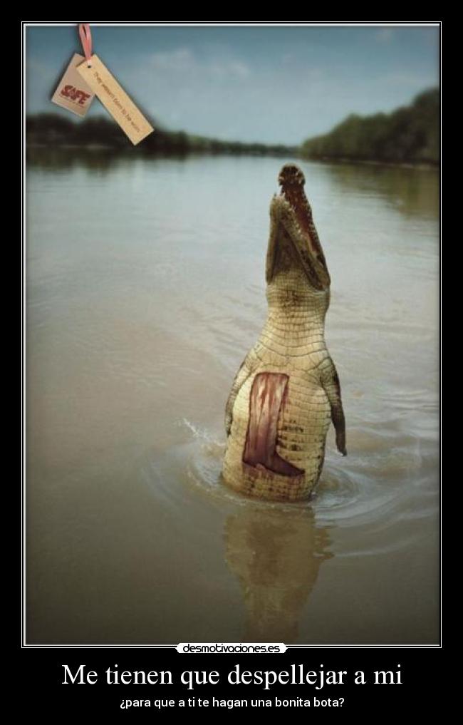 carteles dgngngfn desmotivaciones