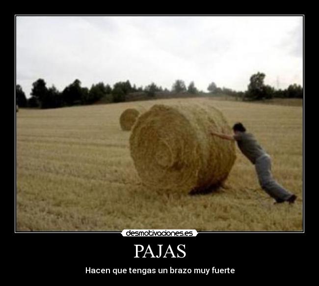 PAJAS - 
