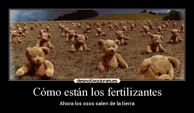 Cómo están los fertilizantes - 