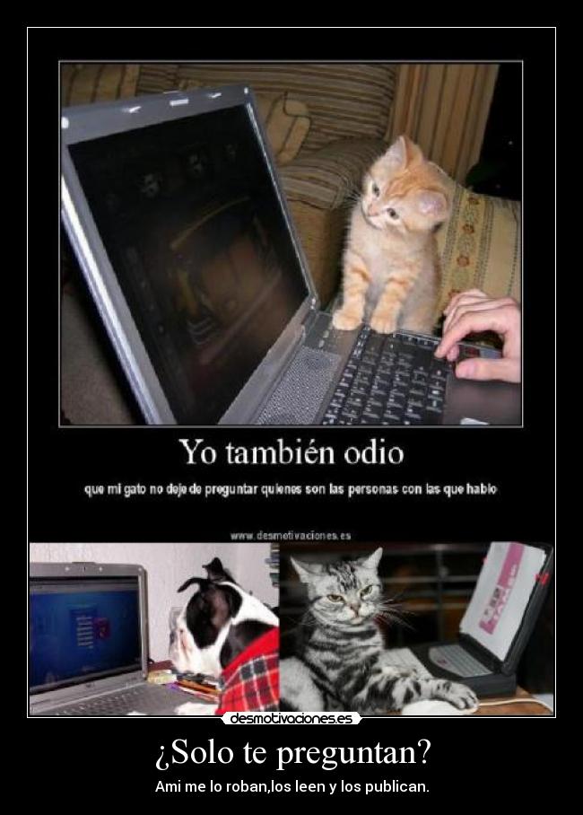 ¿Solo te preguntan? - Ami me lo roban,los leen y los publican.