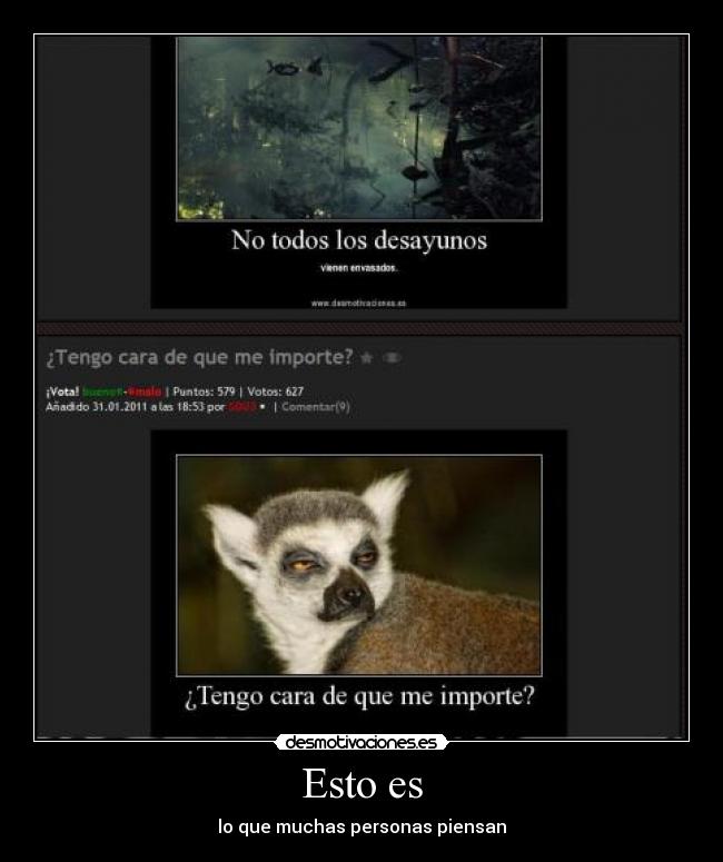 Esto es - lo que muchas personas piensan