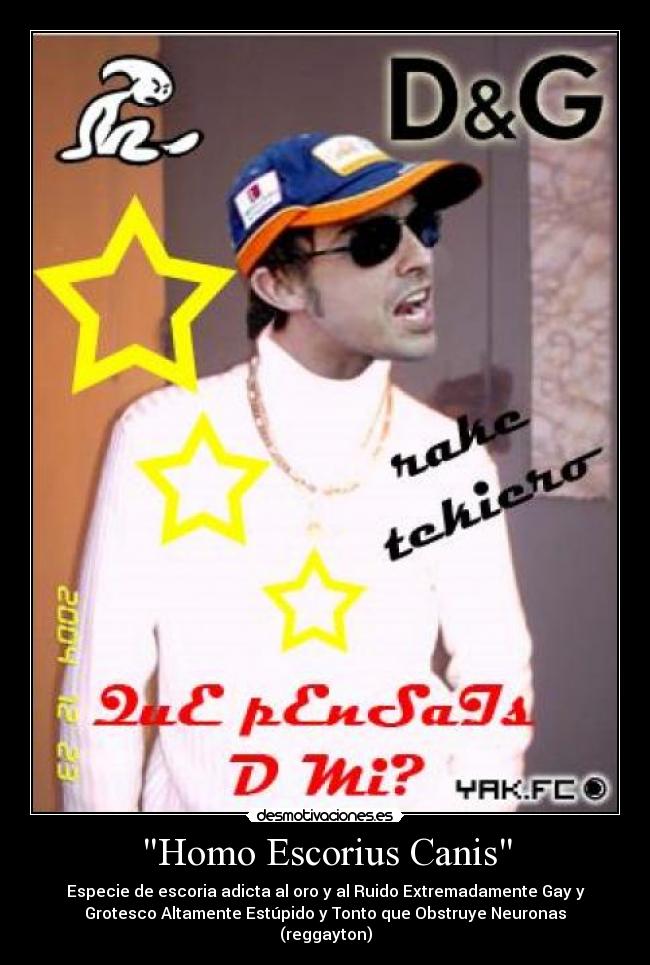 Homo Escorius Canis - Especie de escoria adicta al oro y al Ruido Extremadamente Gay y
Grotesco Altamente Estúpido y Tonto que Obstruye Neuronas
(reggayton)