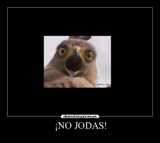 ¡NO JODAS! -