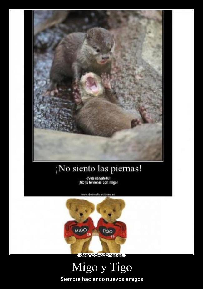 Migo y Tigo - Siempre haciendo nuevos amigos