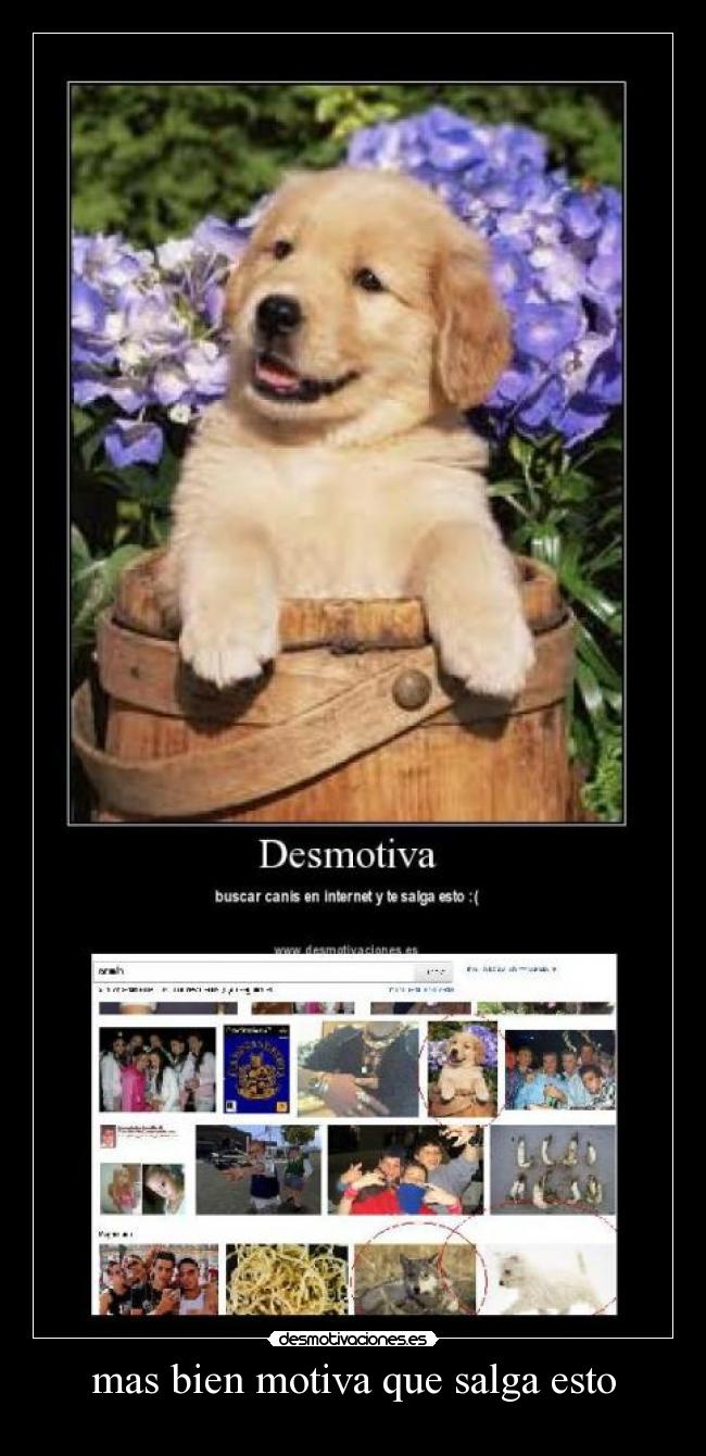 mas bien motiva que salga esto - 