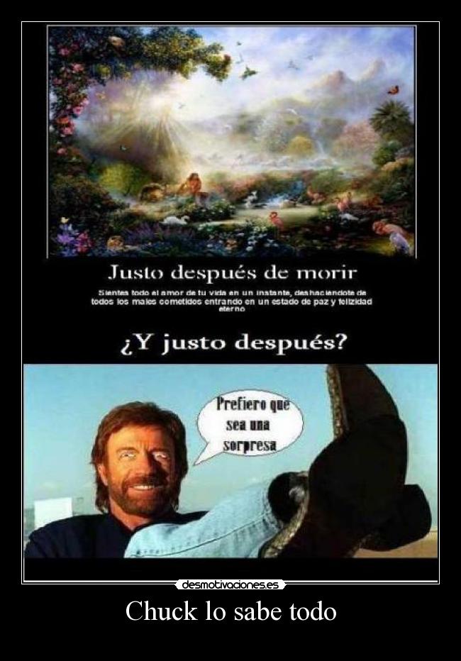 Chuck lo sabe todo -