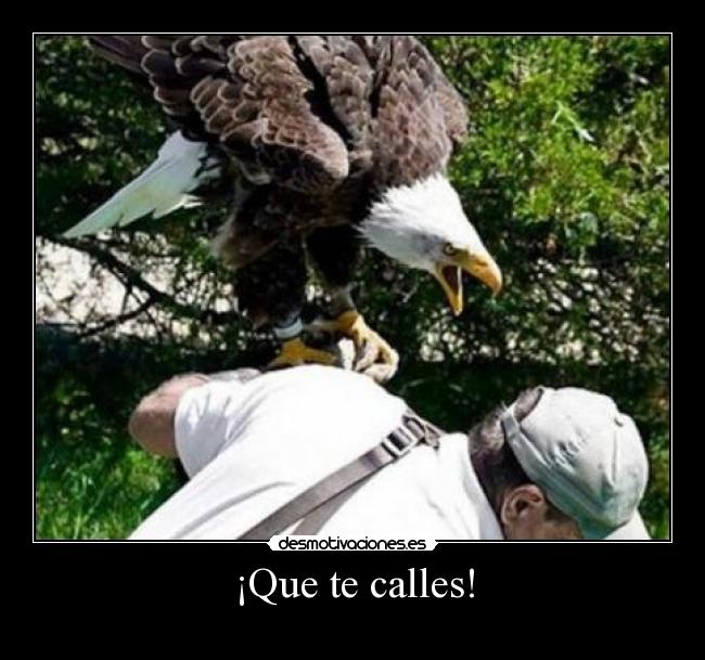 ¡Que te calles! -