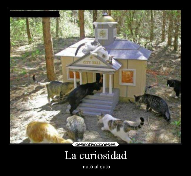 La curiosidad - 