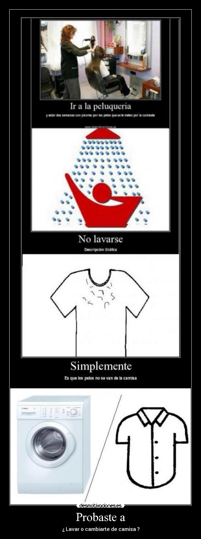 carteles probaste desmotivaciones