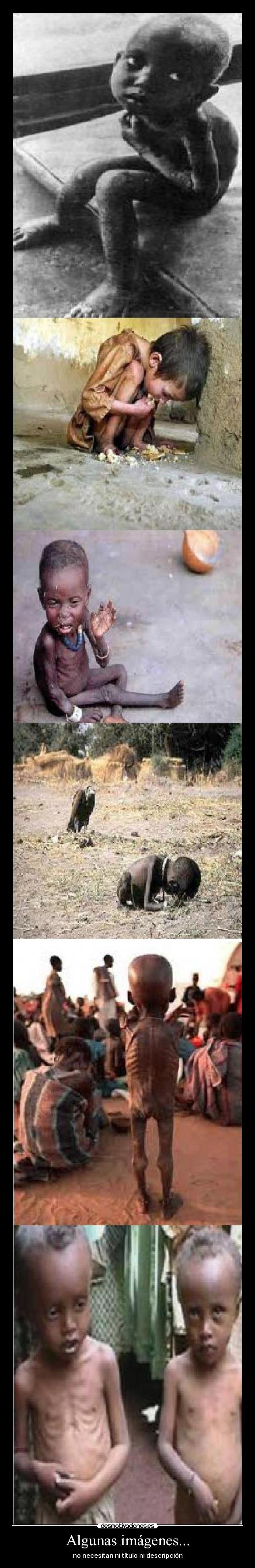 Algunas imágenes... - 