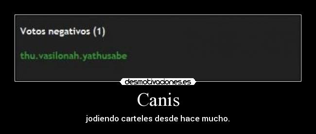 Canis - 