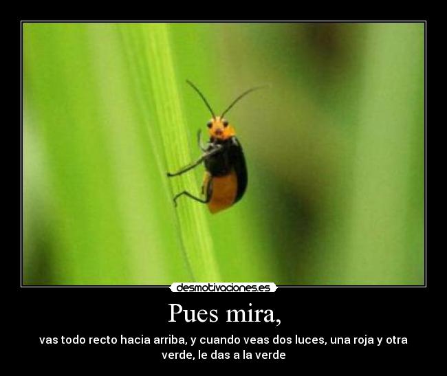 Pues mira, - vas todo recto hacia arriba, y cuando veas dos luces, una roja y otra
verde, le das a la verde