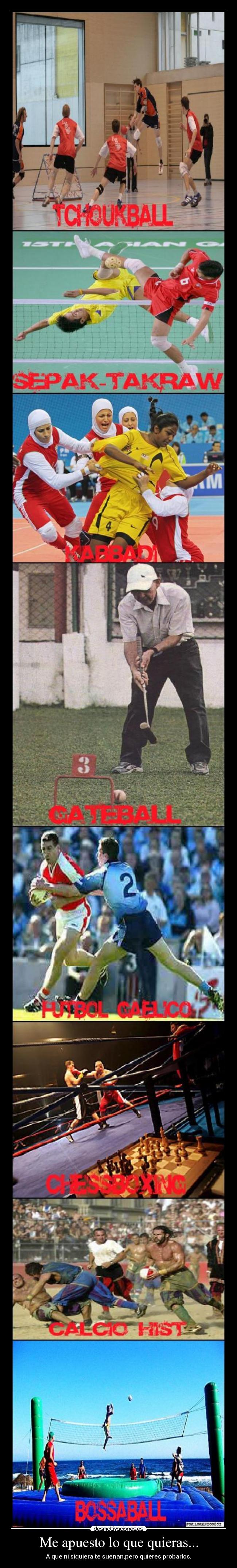 Me apuesto lo que quieras... -