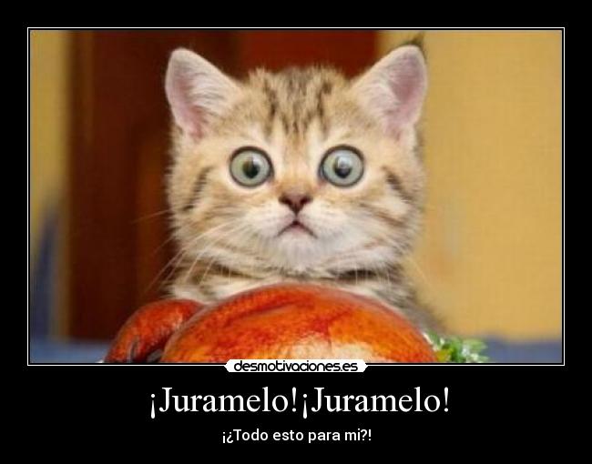 ¡Juramelo!¡Juramelo! - ¡¿Todo esto para mi?!