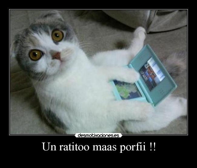 Un ratitoo maas porfii !! - 