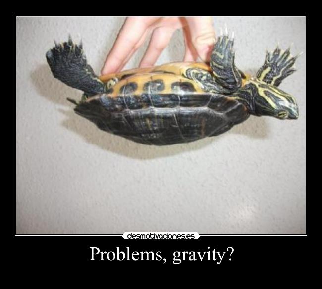 Problems, gravity? -