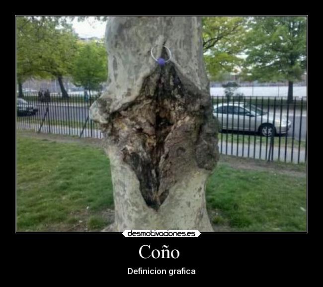 Coño  - Definicion grafica