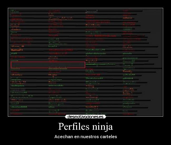 Perfiles ninja - Acechan en nuestros carteles