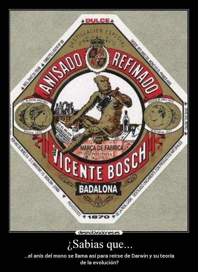 carteles darwin anis del mono desmotivaciones