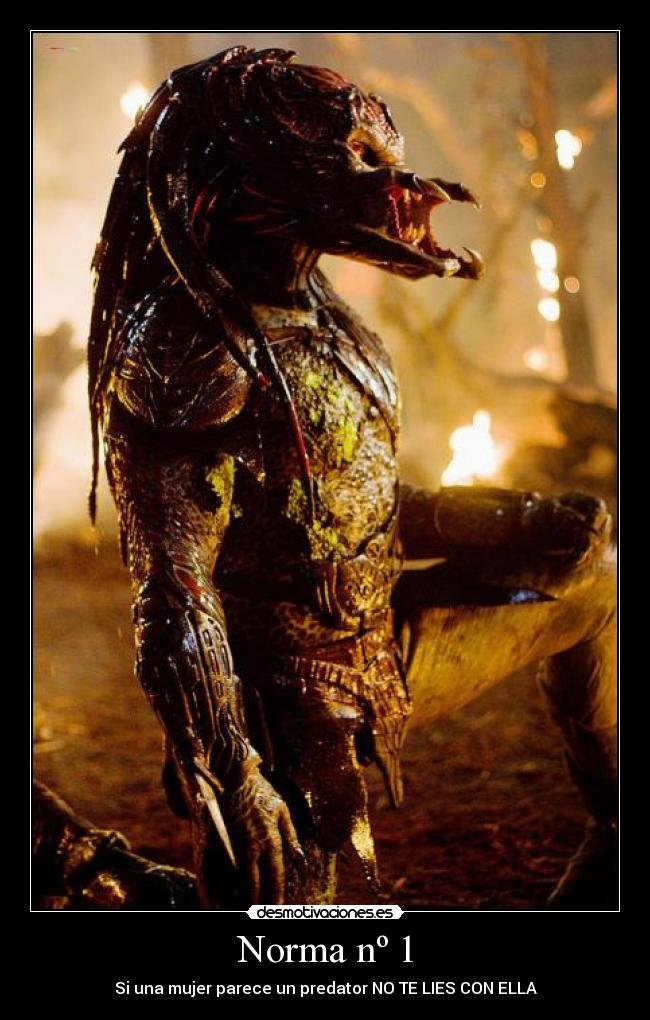 carteles predator mujer desmotivaciones