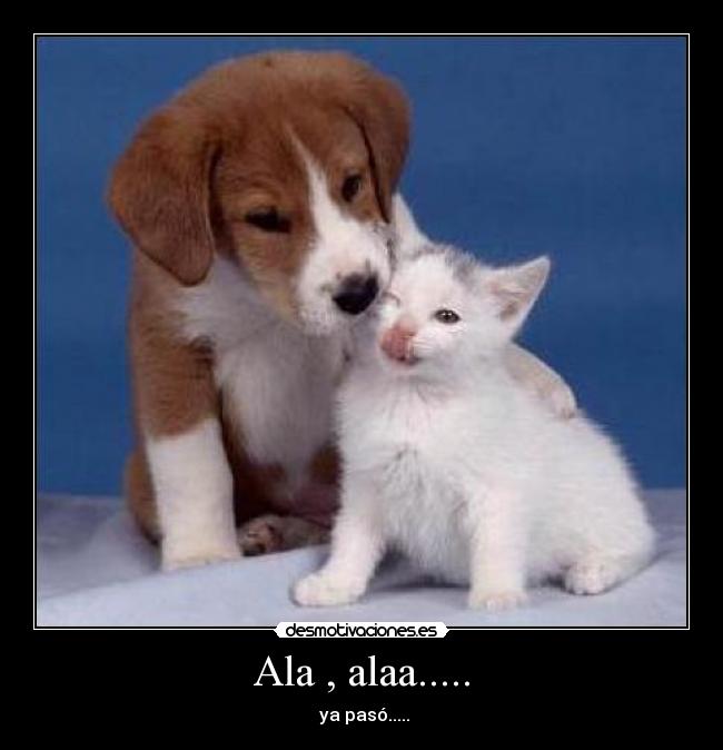 Ala , alaa..... -  ya pasó.....