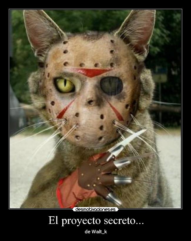 El proyecto secreto... - 