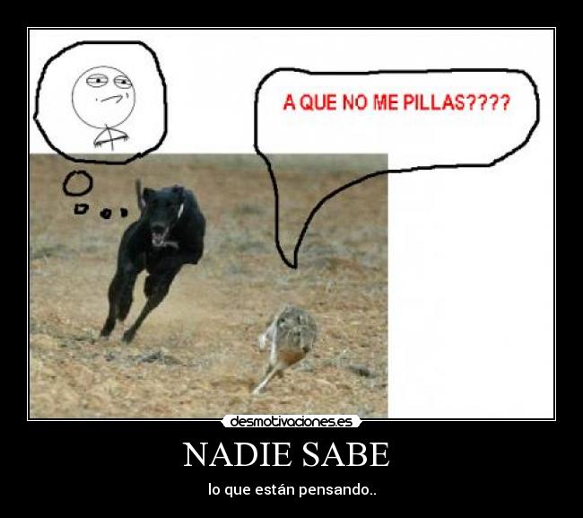 NADIE SABE  - 