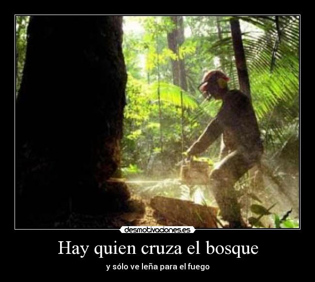 Hay quien cruza el bosque - y sólo ve leña para el fuego