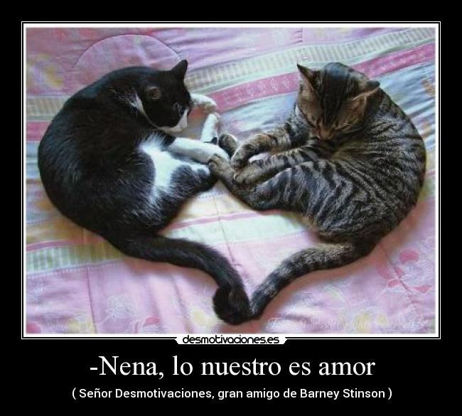-Nena, lo nuestro es amor - ( Señor Desmotivaciones, gran amigo de Barney Stinson )