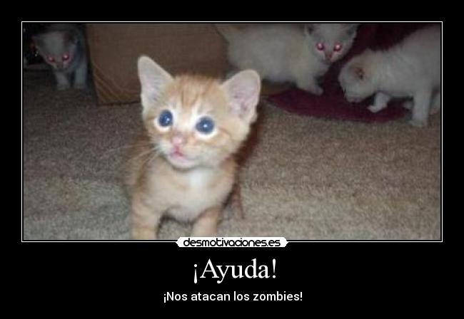 ¡Ayuda! - ¡Nos atacan los zombies!