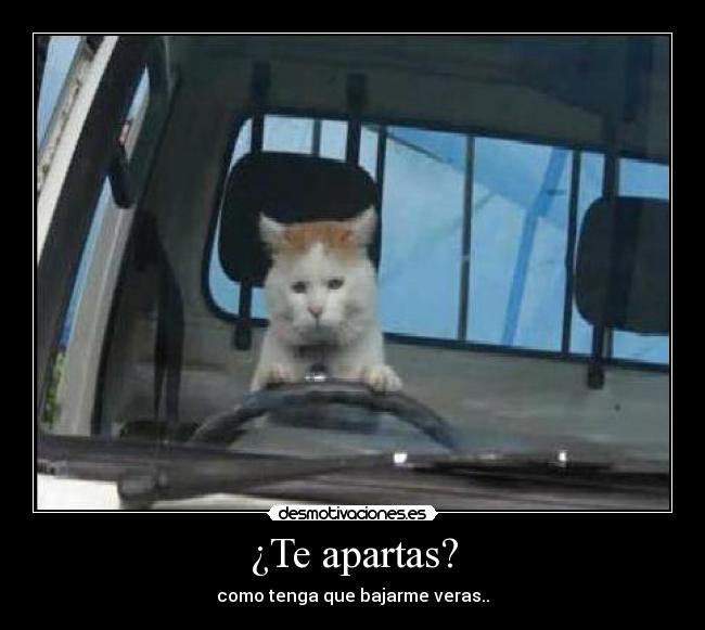 ¿Te apartas? - como tenga que bajarme veras..