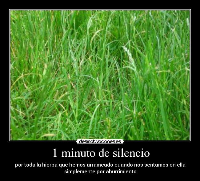 1 minuto de silencio - por toda la hierba que hemos arramcado cuando nos sentamos en ella
simplemente por aburrimiento
