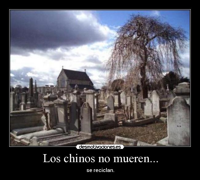 Los chinos no mueren... - se reciclan.