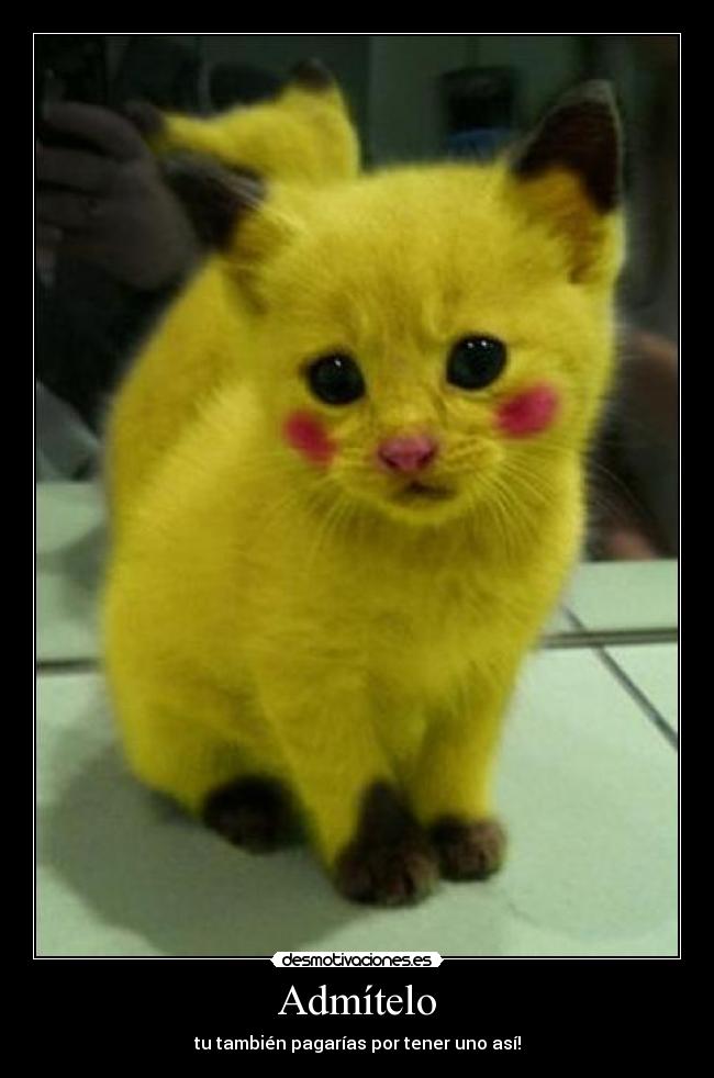 Admítelo - tu también pagarías por tener uno así!