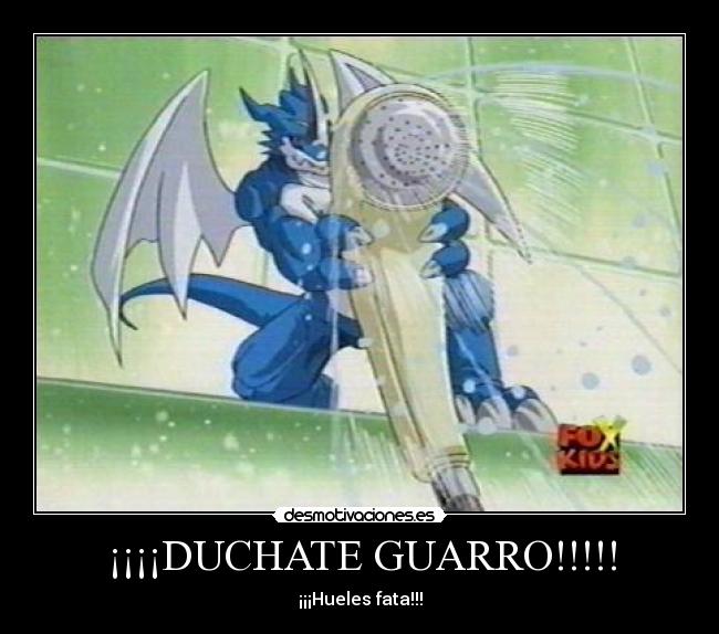 ¡¡¡¡DUCHATE GUARRO!!!!! - 