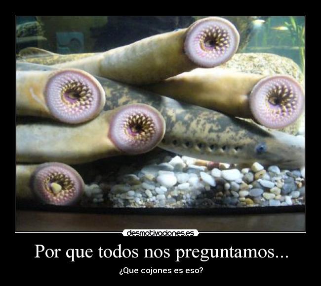 carteles que desmotivaciones