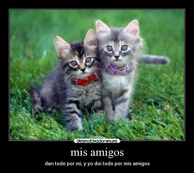 mis amigos - dan todo por mi, y yo doi todo por mis amigos