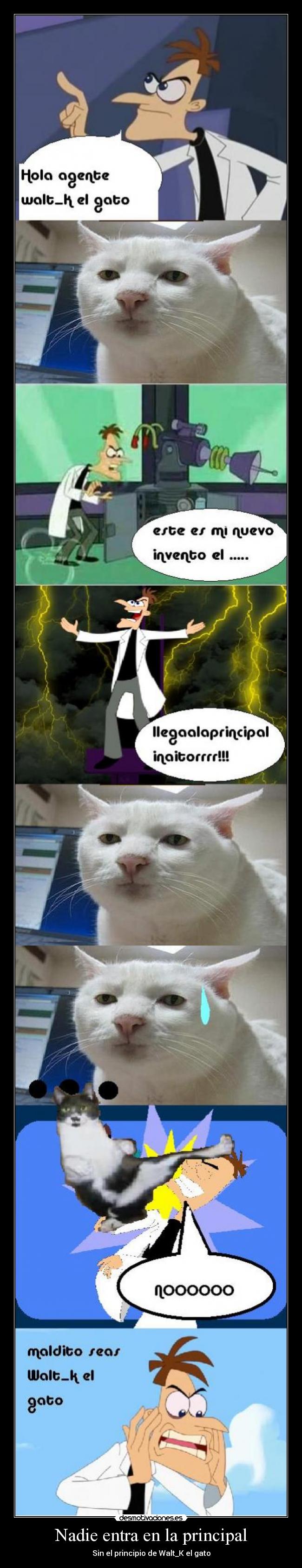 Nadie entra en la principal -