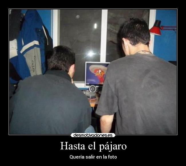Hasta el pájaro - Quería salir en la foto