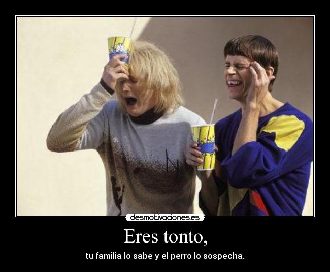 Eres tonto, - tu familia lo sabe y el perro lo sospecha.