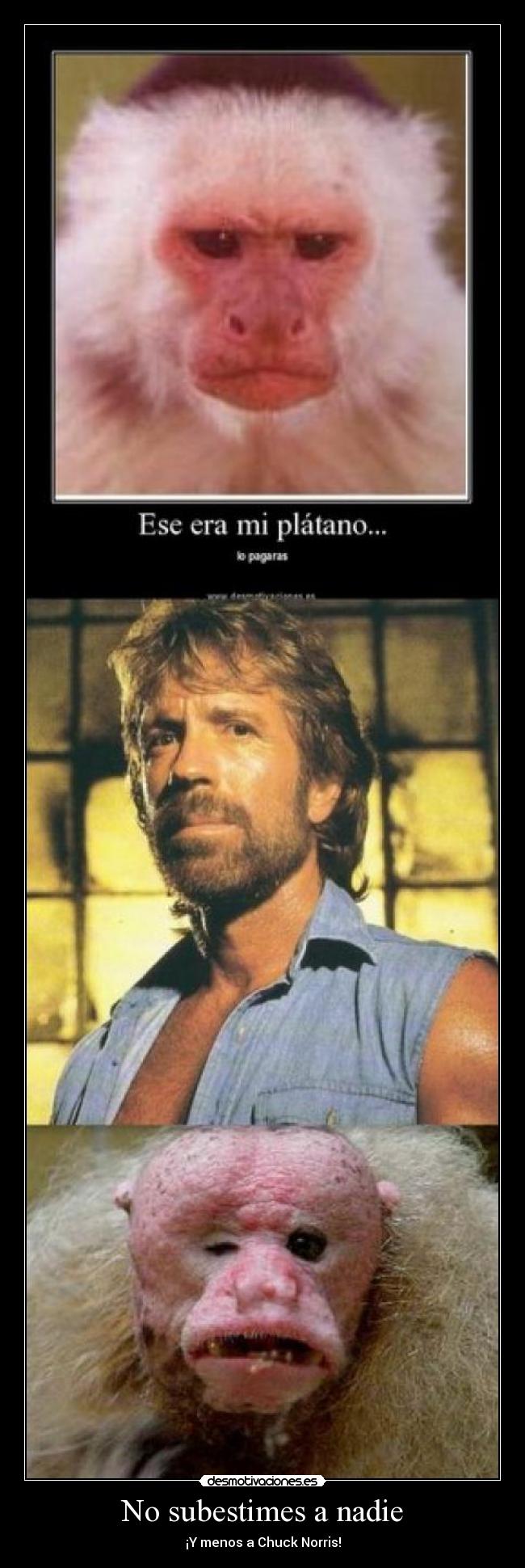 No subestimes a nadie -