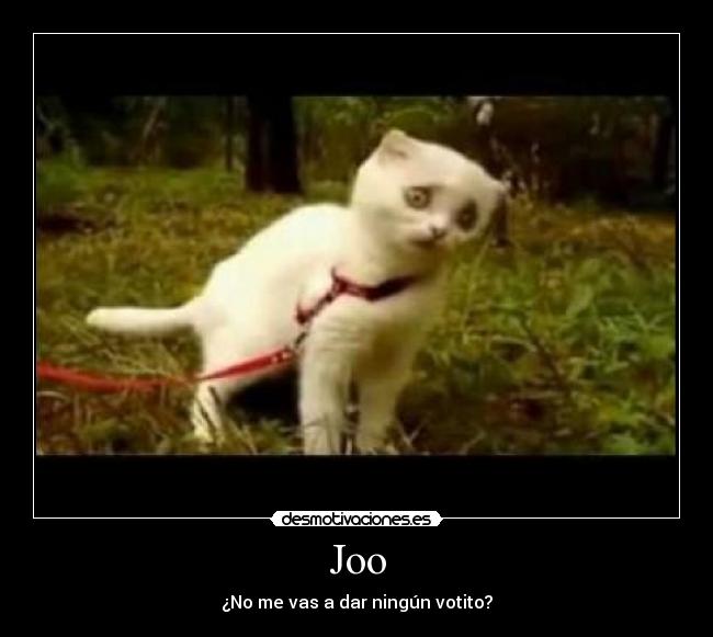Joo - ¿No me vas a dar ningún votito?