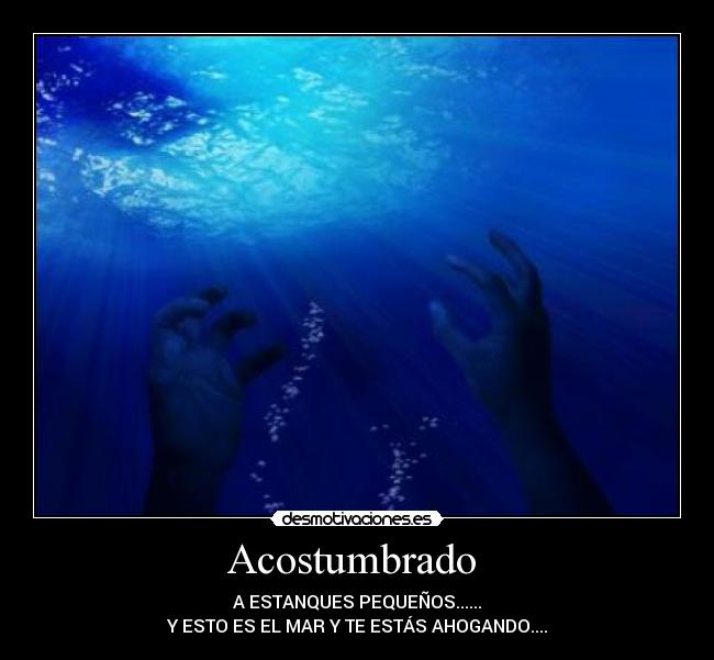 Acostumbrado -