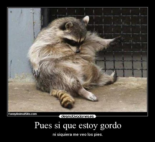 Pues si que estoy gordo - 